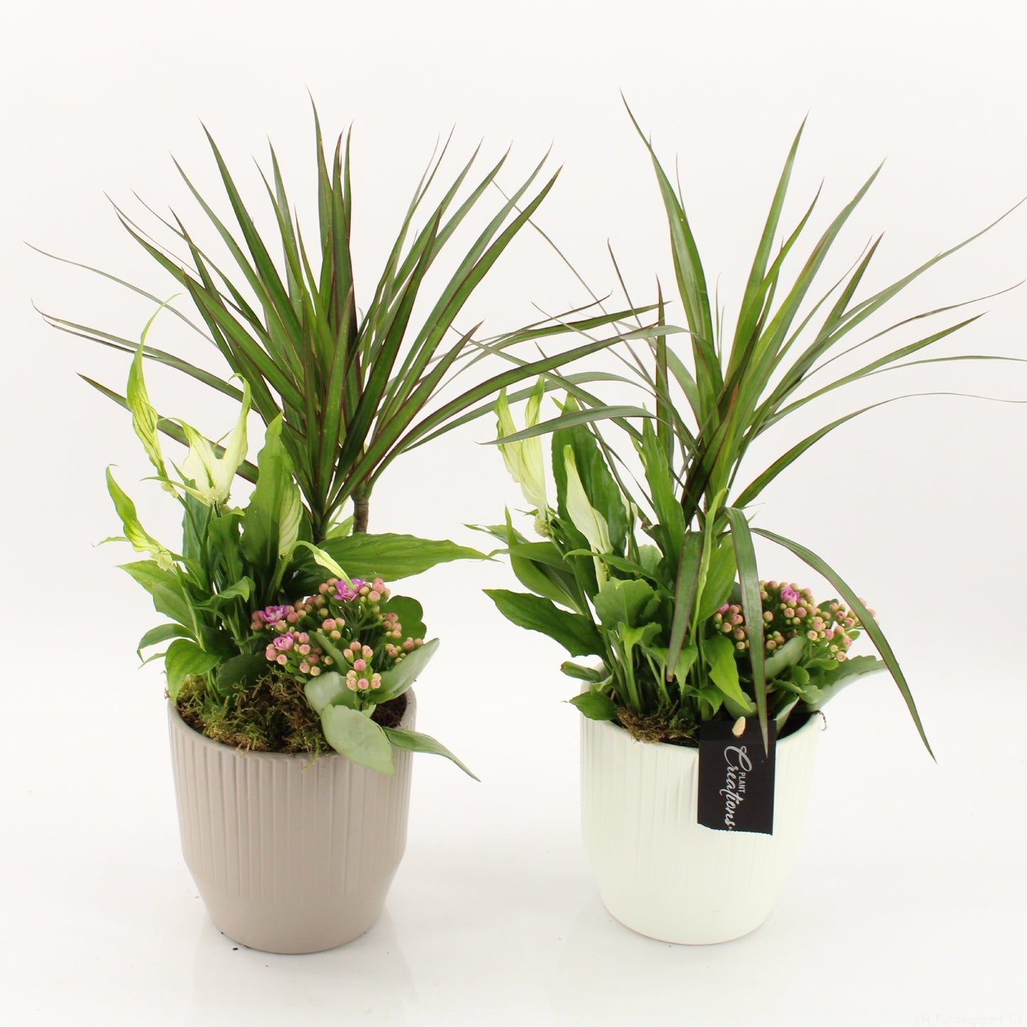PROMO-A2604 45cm 14cm Pot