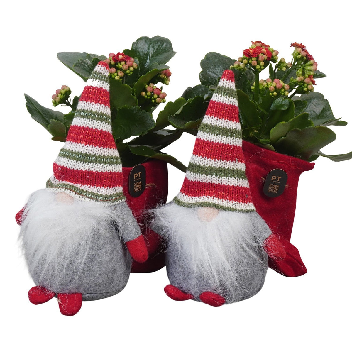 Christmas arrangement 21cm 20cm Pot