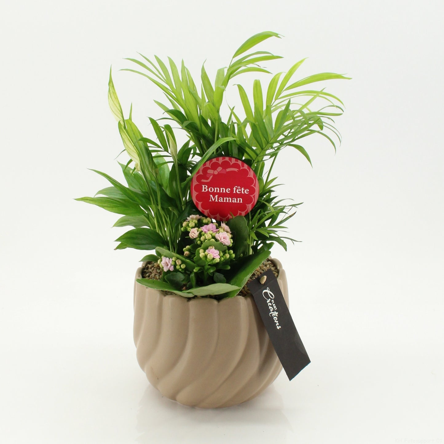 Indoor flowering arrangement 50cm 17cm Pot