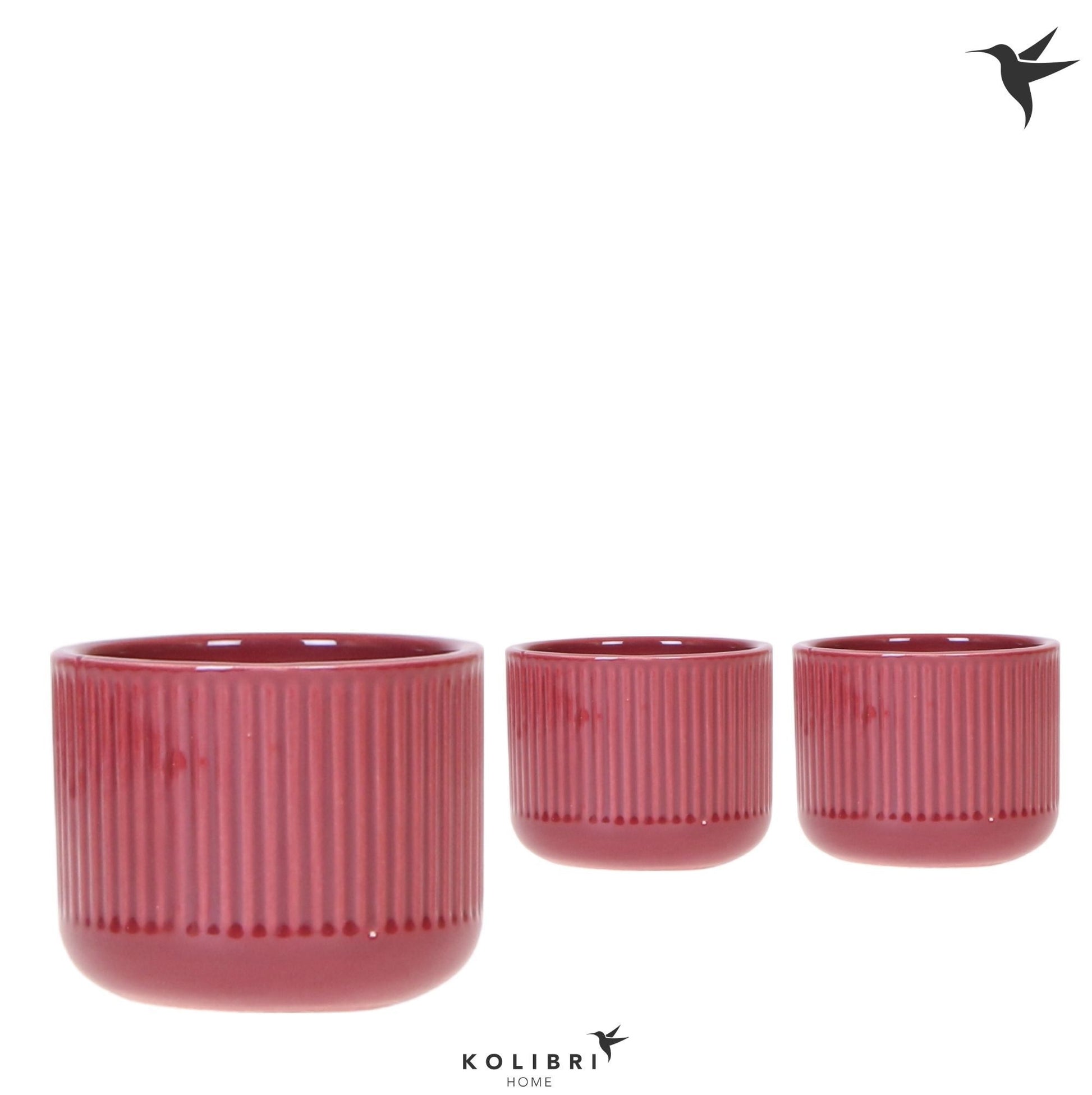OK Plant Kolibri Home Flare pot red Pack of 12