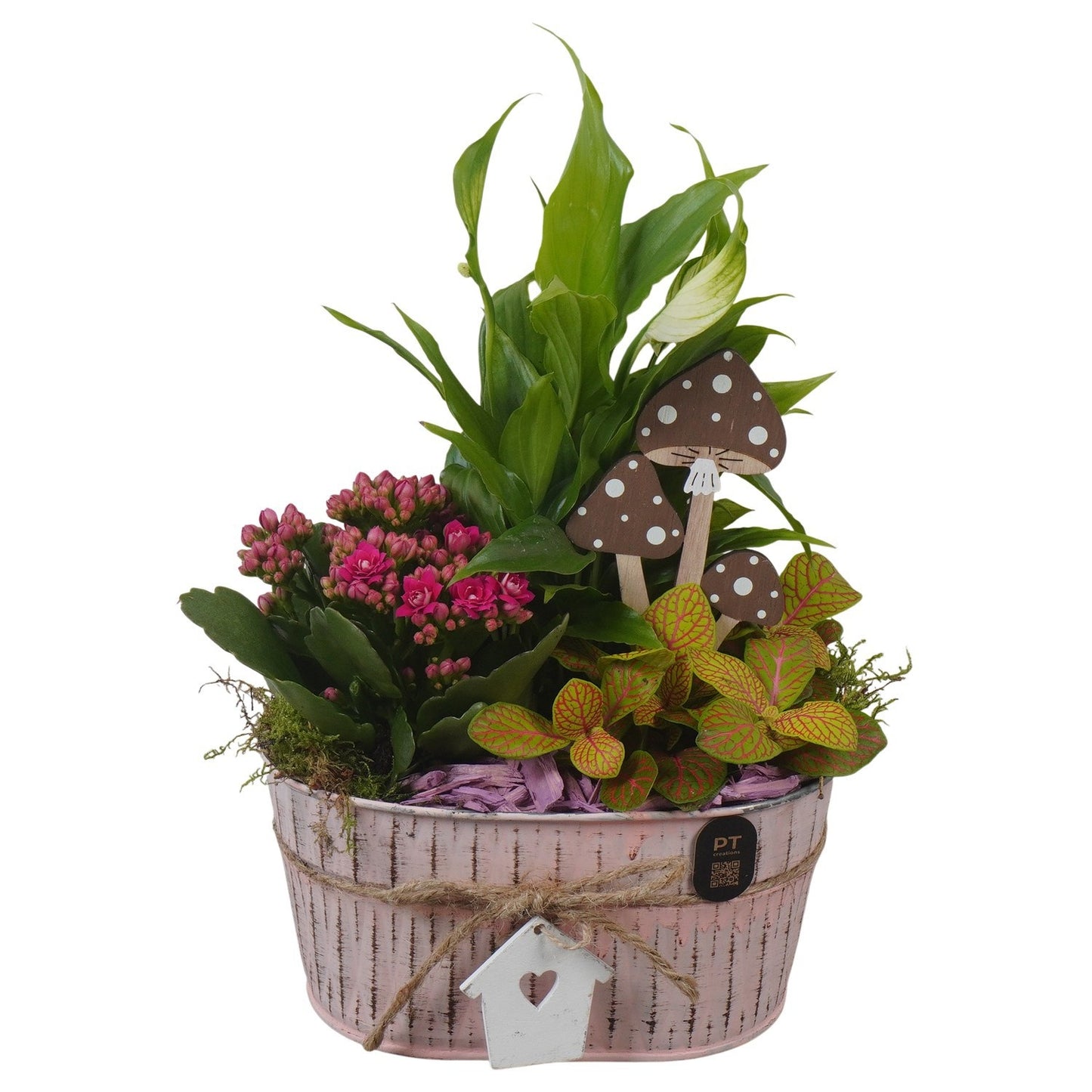 Indoor arrangement 29cm 18cm Pot