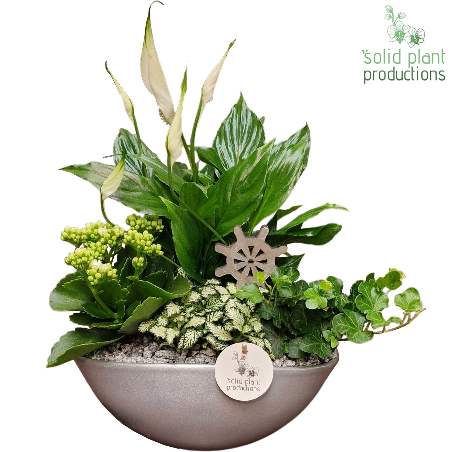 SP005 Eyleen Steel 40cm 25cm Pot