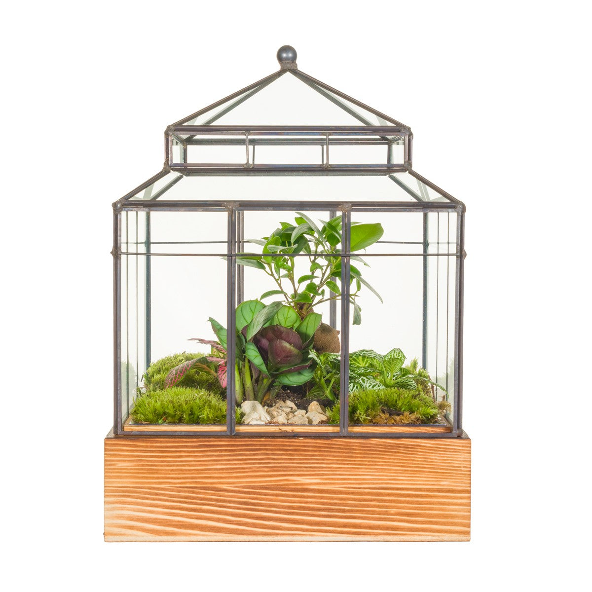 arr. Terrarium 32cm 30cm Pot
