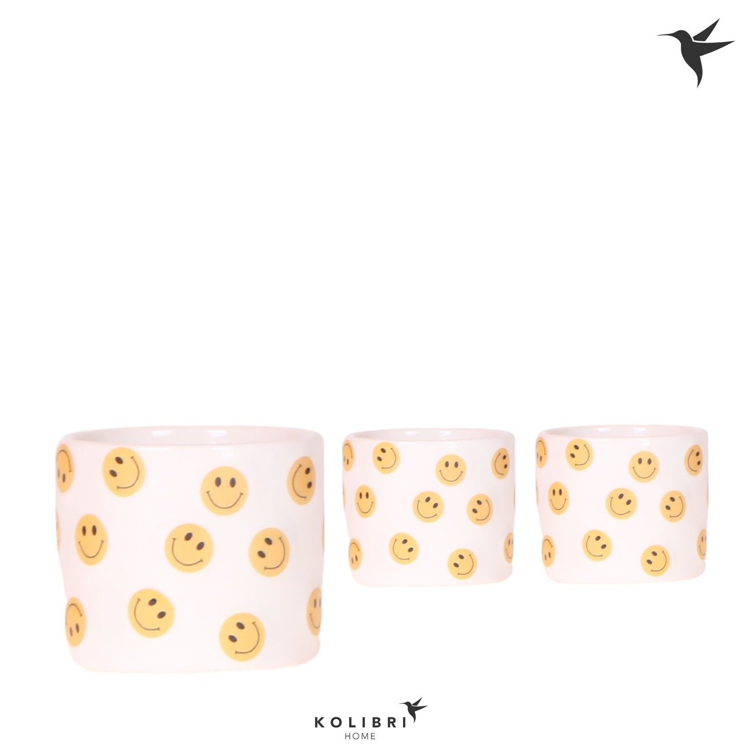 OK Plant Kolibri Home Smiley pot Pack of 12