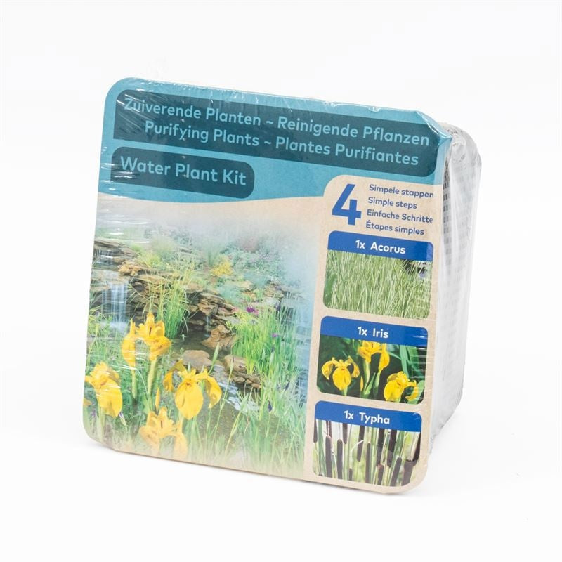 Waterplants mix 12cm 18cm Pot