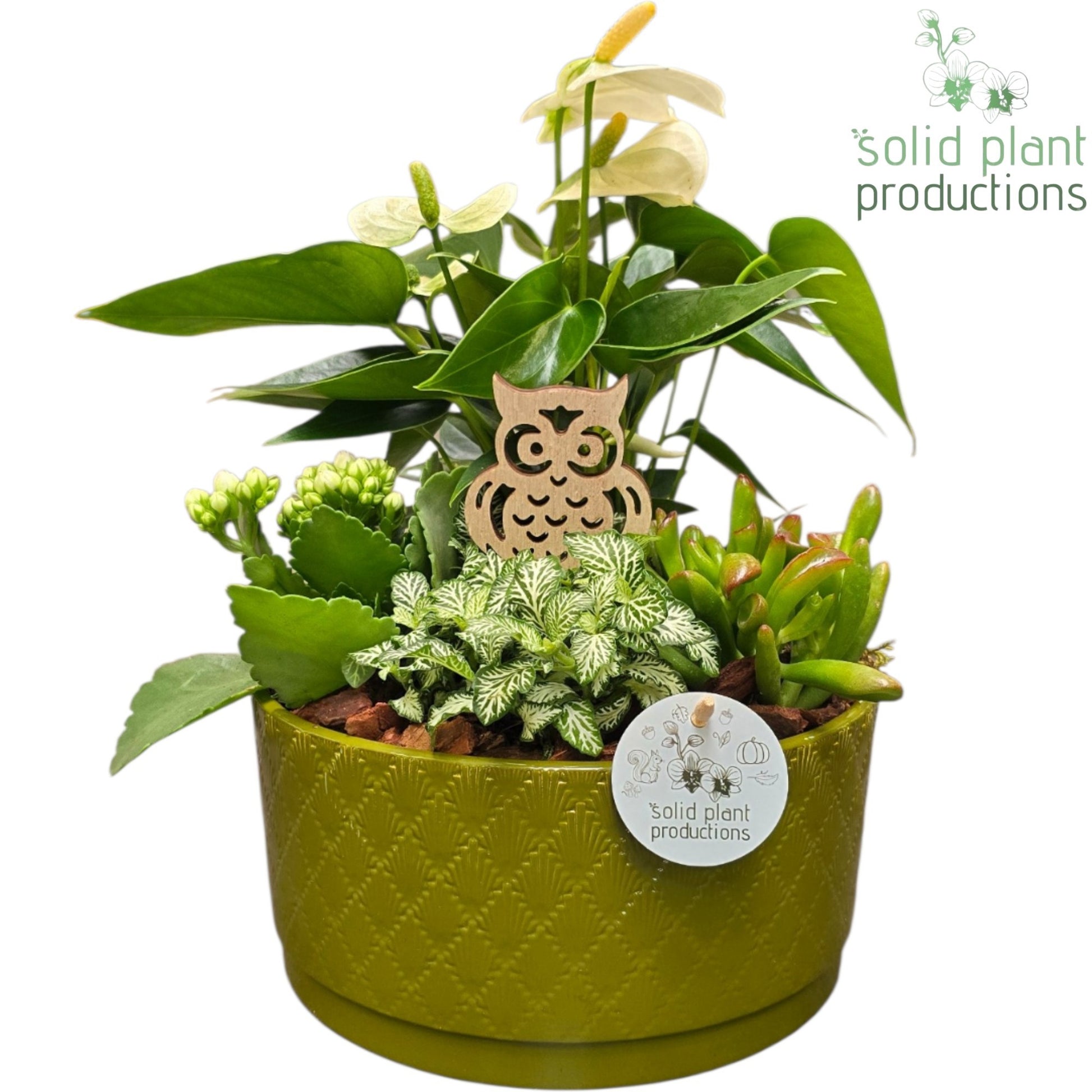AT004 Stella Green White 42cm 22cm Pot