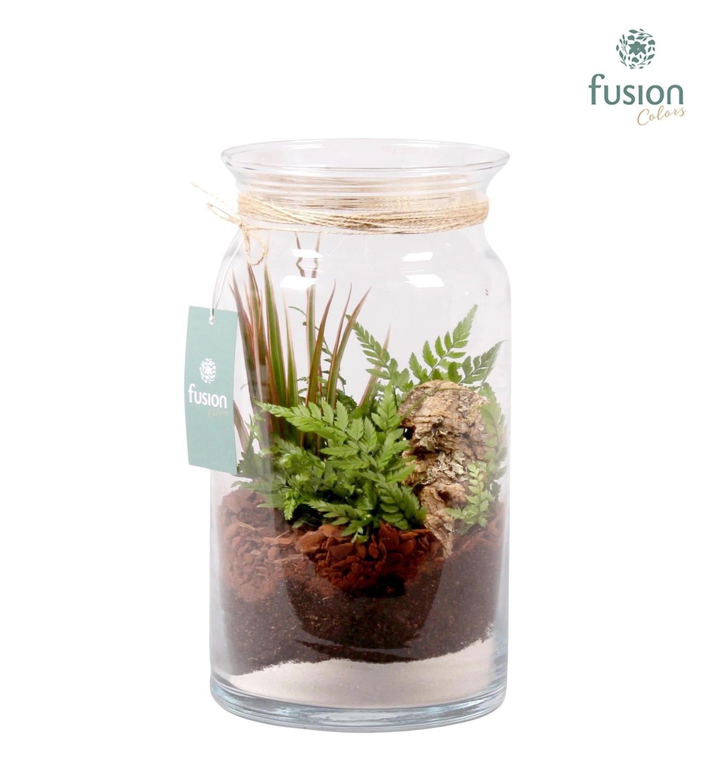 Glas Melkbus met Arrangement 29cm 16cm Pot
