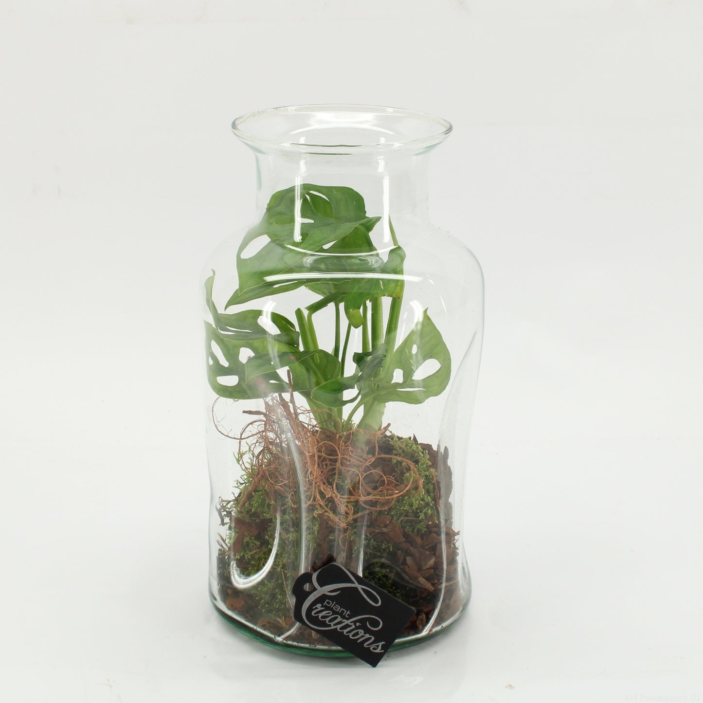 GRCR-2604 Green Essentials terrarium 26cm 17cm Pot