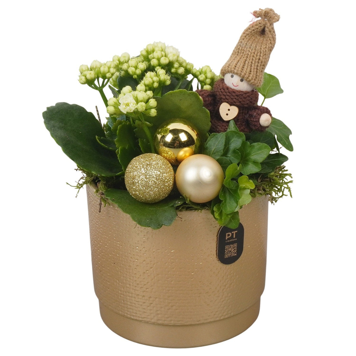 Christmas arrangement 21cm 12cm Pot