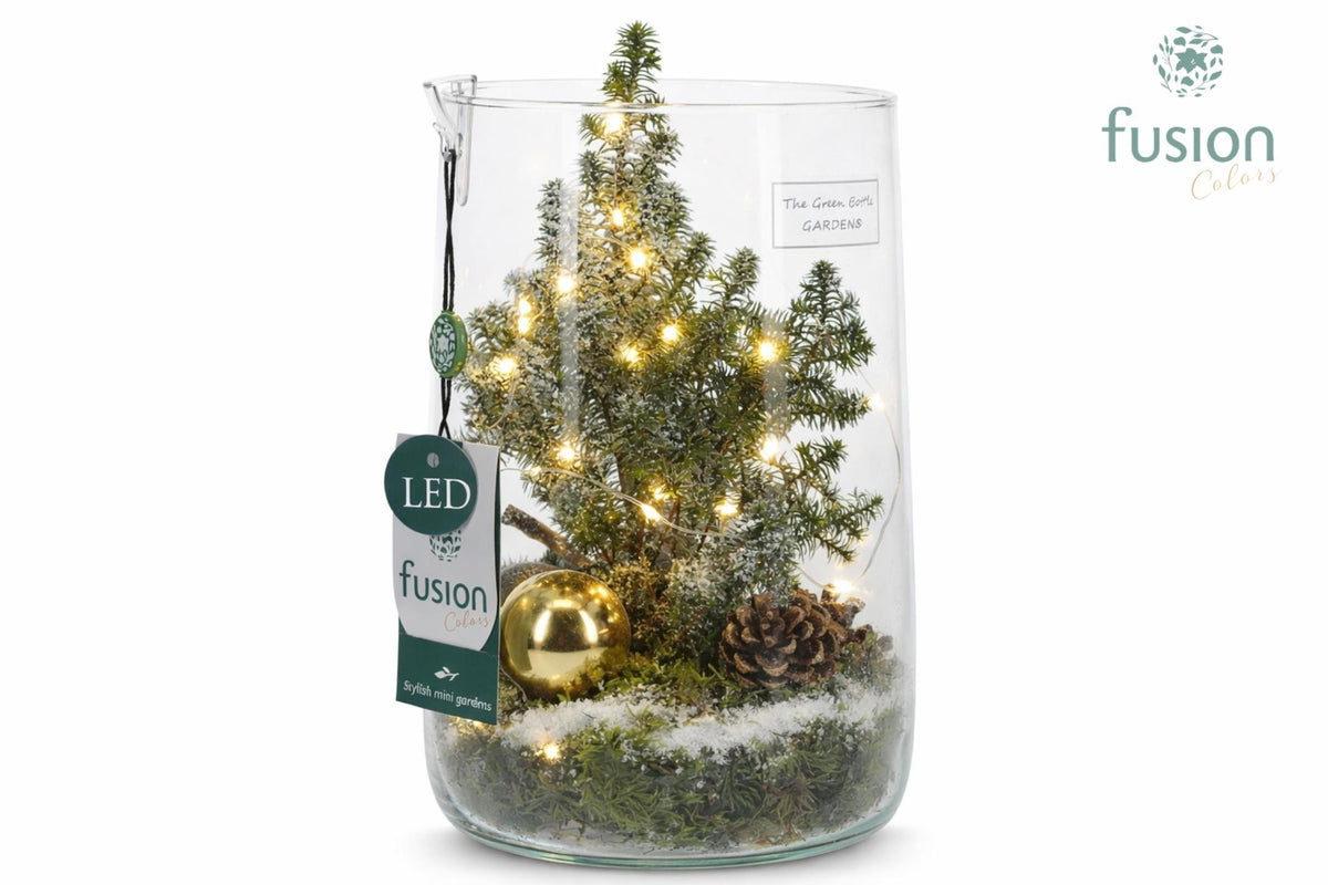 Green Bottle Deline Large met Kerst arrangement 25cm 15cm Pot