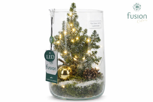 Green Bottle Deline Large met Kerst arrangement 25cm 15cm Pot