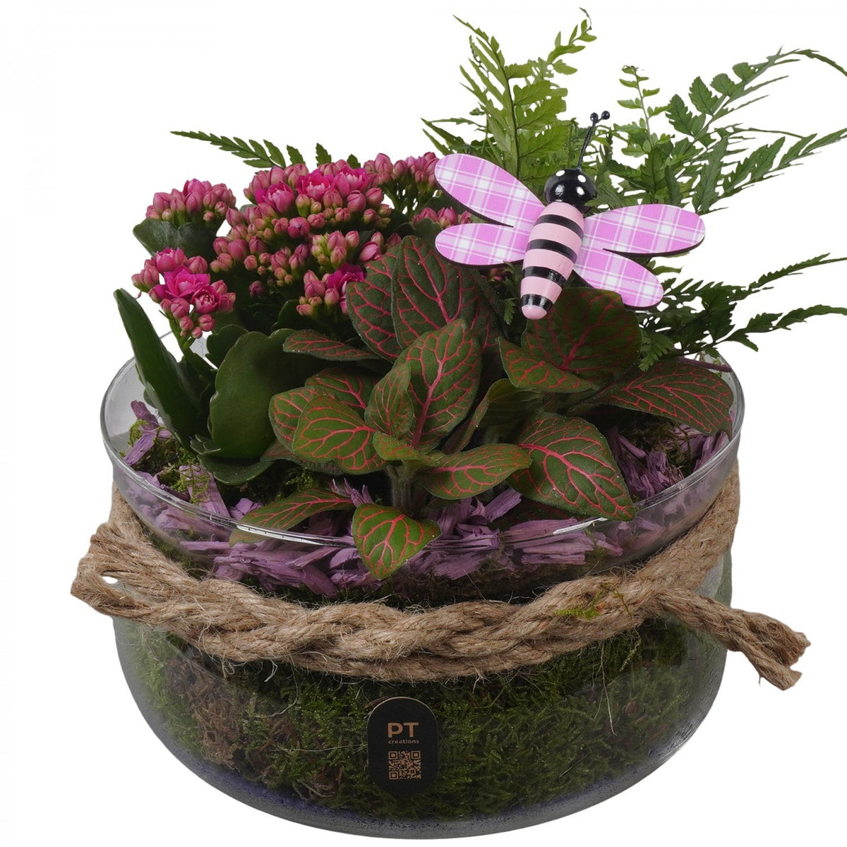 Indoor arrangement 18cm 19cm Pot