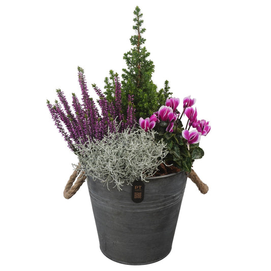 Outdoor arrangement 54cm 24cm Pot