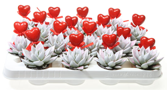 Miranda wit roze glitter + hartje 8cm 6cm Pot