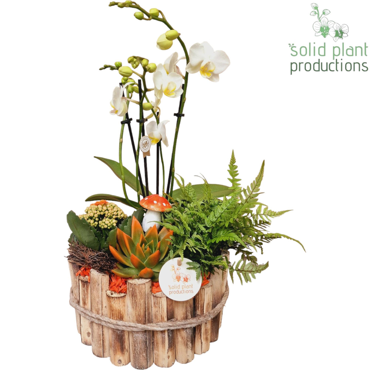 HPE002 Milano Large Autumn Orange 45cm 23cm Pot