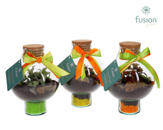 Green Bottle Laura XSmall met Terrarium arrangement 20cm 15cm Pot