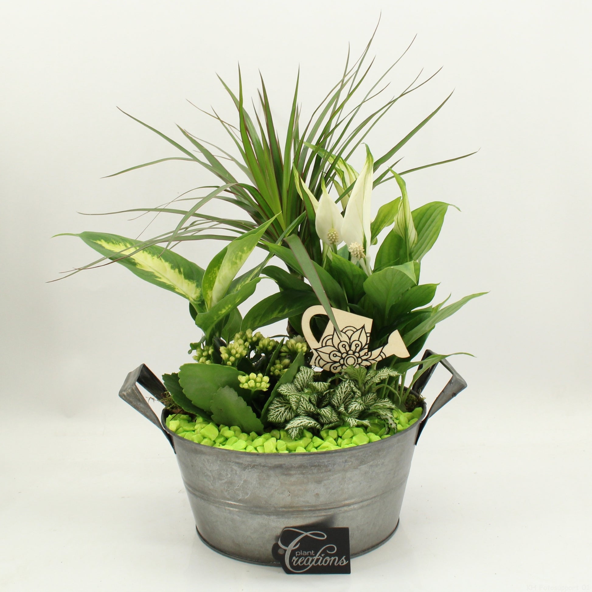 FDCR-2615GR Basic Fundamentals 50cm 23cm Pot