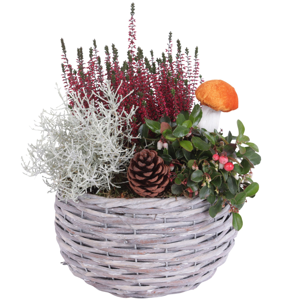 Outdoor arrangement 35cm 23cm Pot