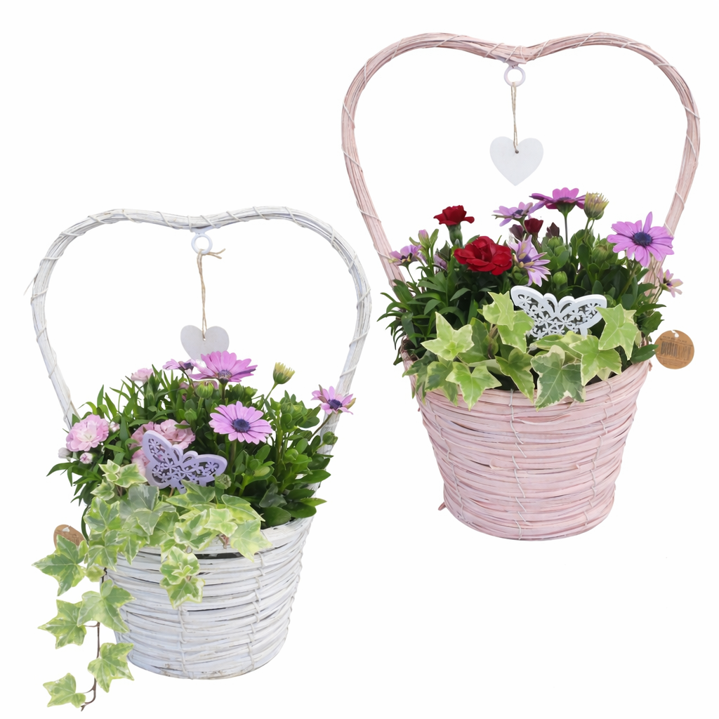 Outdoor arrangement 40cm 17cm Pot