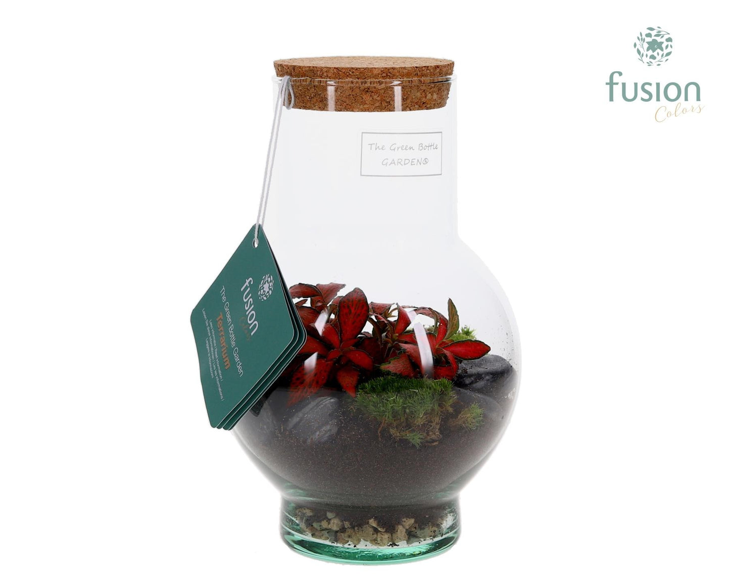 Fusioncolors BV Green Bottle Suzon XSmall met Terrarium arrangement Pack of 6