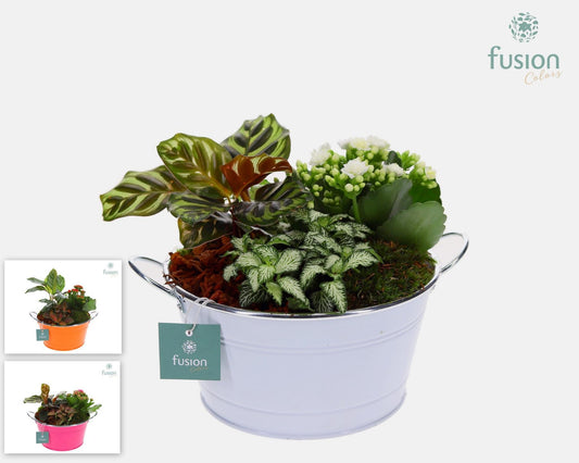 Zinken schaalrond met Arrangement 25cm 20cm Pot