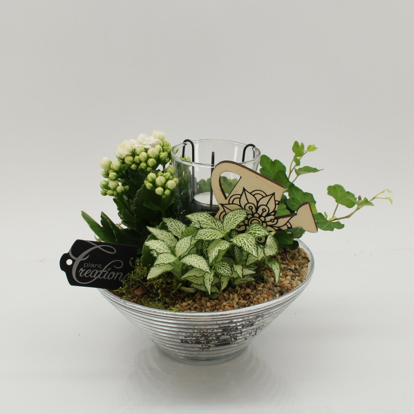 FDCR-2603W Basic Fundamentals 20cm 20cm Pot