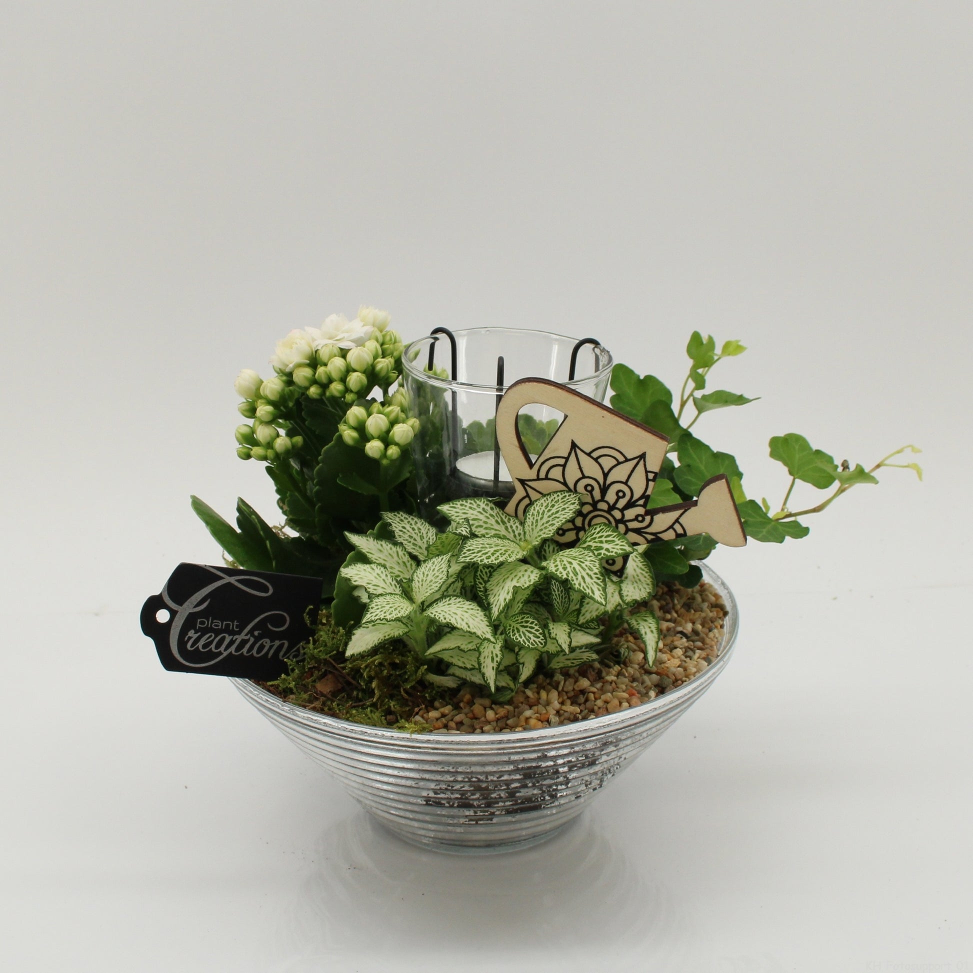 FDCR-2603W Basic Fundamentals 20cm 20cm Pot