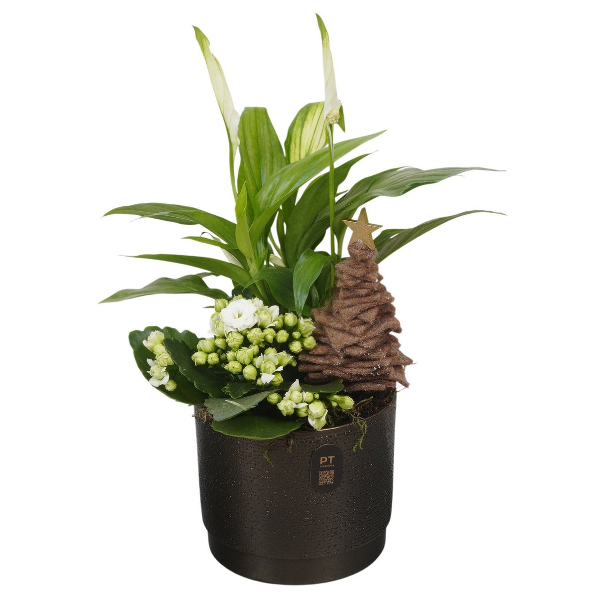 Christmas arrangement 33cm 12cm Pot