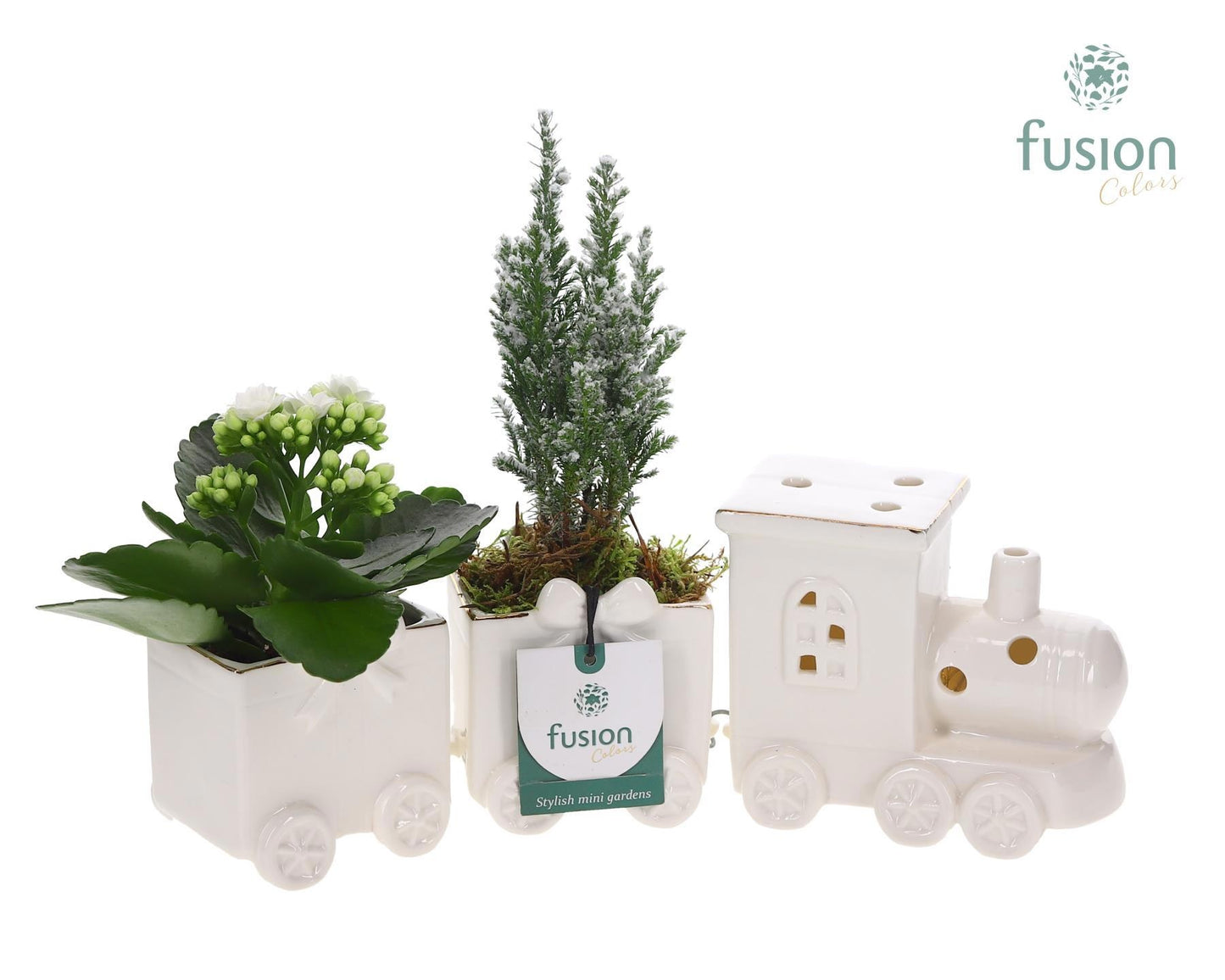 Keramiek Trein Medium met Arrangement 20cm 34cm Pot