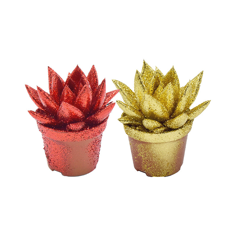Echeveria colored bicolor (+ drp.ceramic) 8cm 6cm Pot