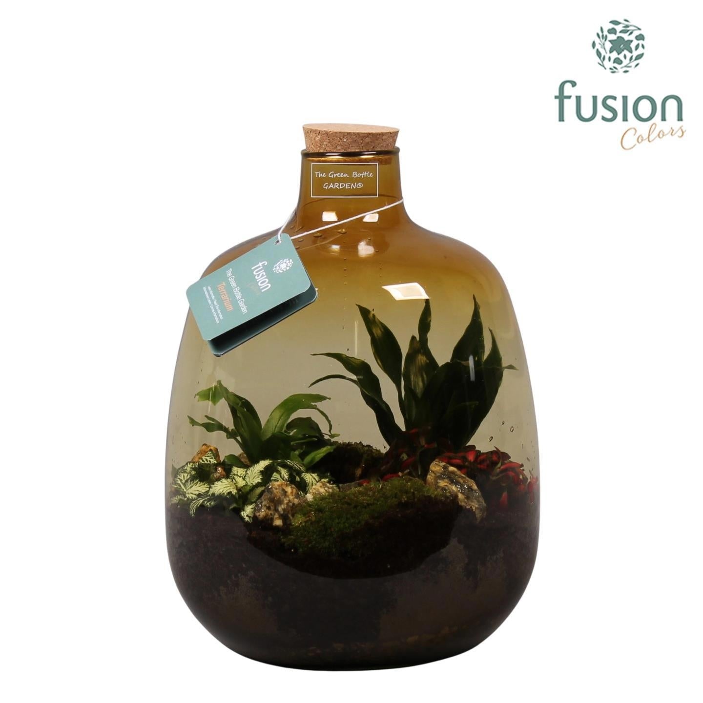 Glas Terrarium oker met Arrangement 35cm 22cm Pot