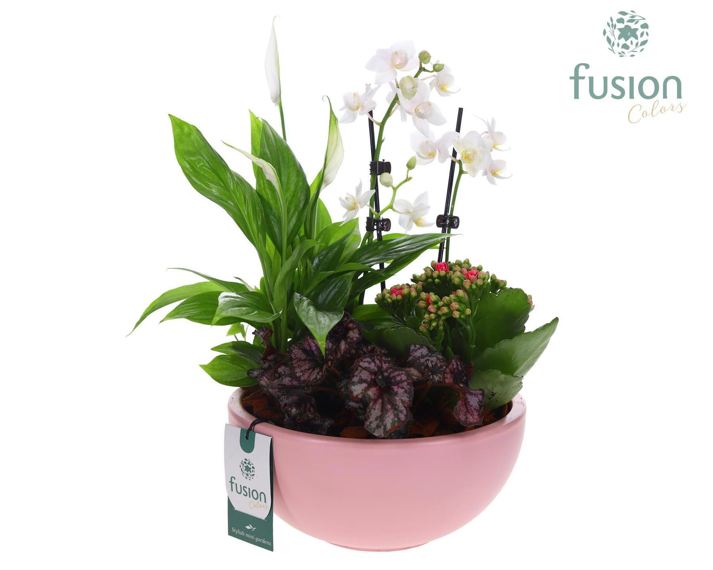 Fusioncolors BV Schaal keramiek Moon Large roze mat Arrangement Pack of 2