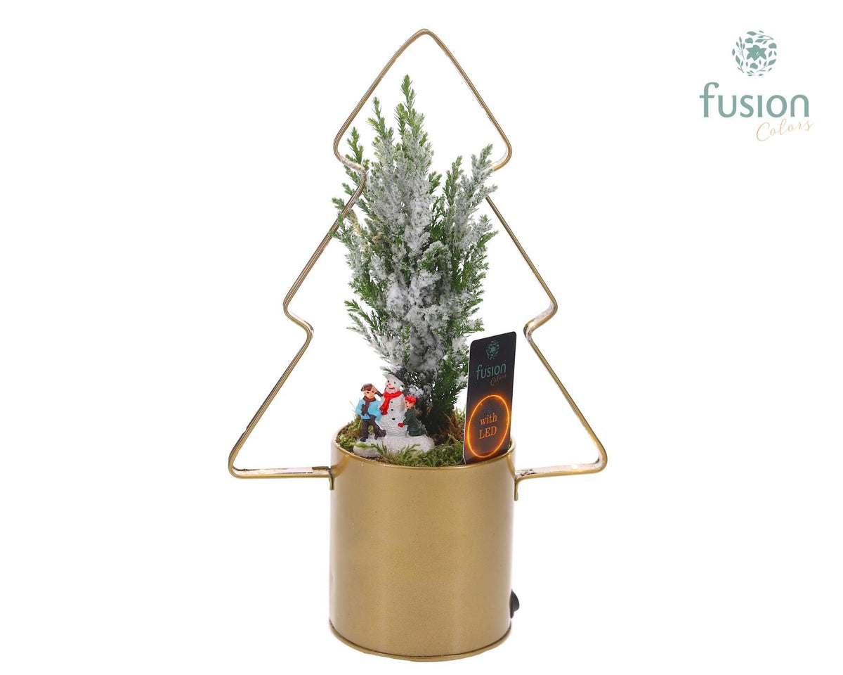Zinken LED planter Kerstboomvorm met Chamaecyparis 29cm 19cm Pot