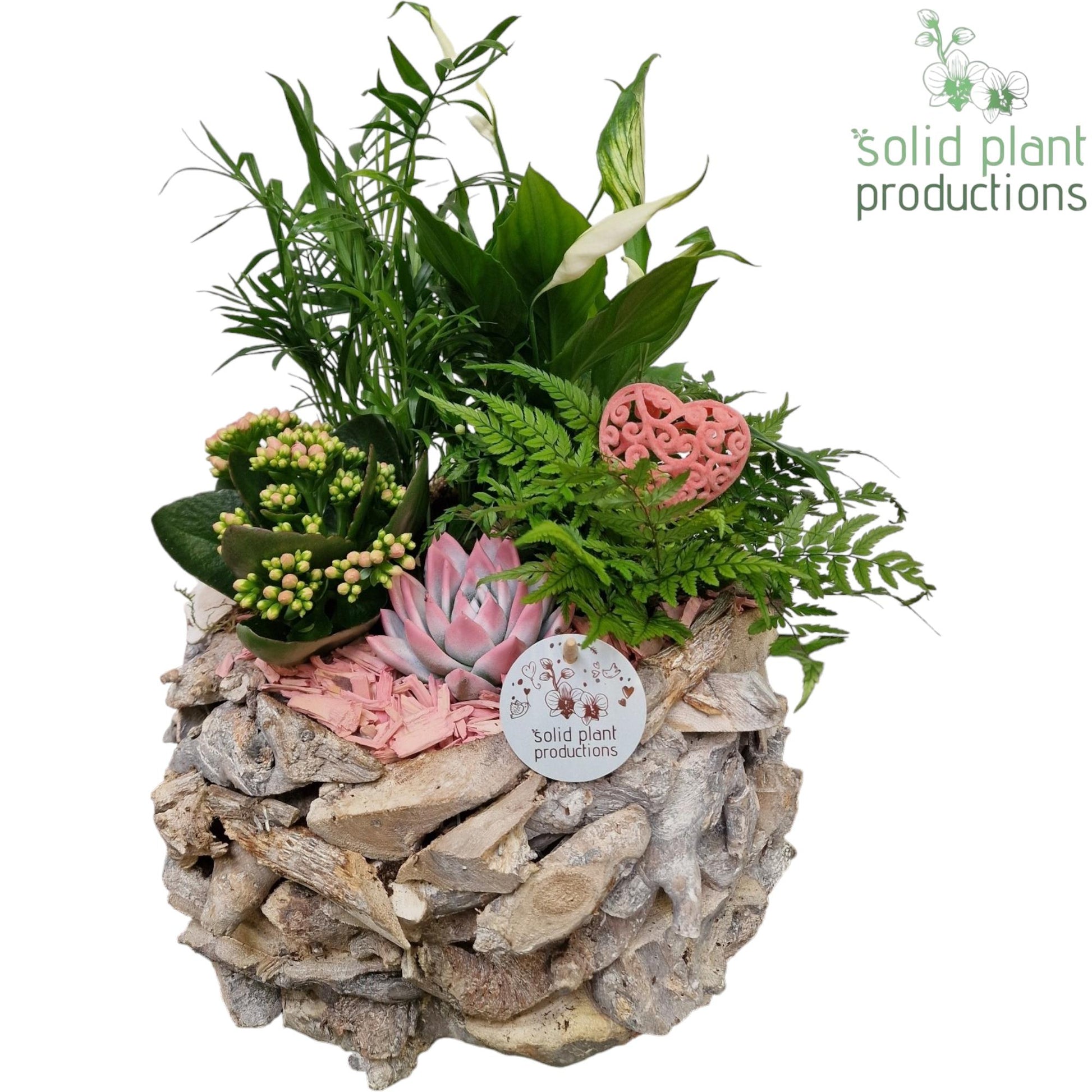SCE013 Driftwood Round White Washed Pink Love 45cm 31cm Pot