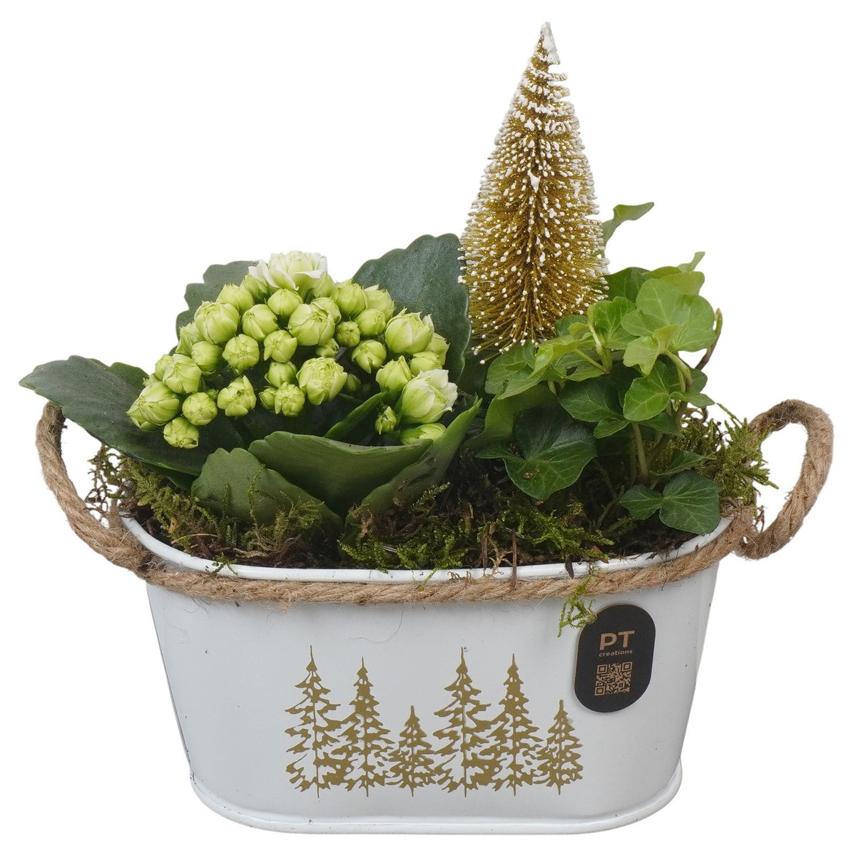 Christmas arrangement 19cm 15cm Pot