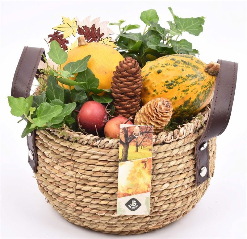 arr. Sierfruit 20cm Pot