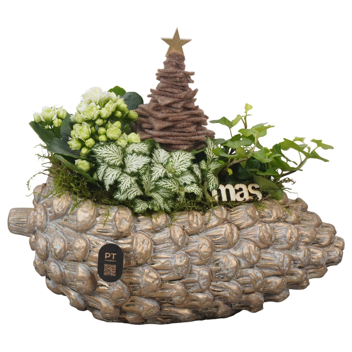 Christmas arrangement 24cm 28cm Pot