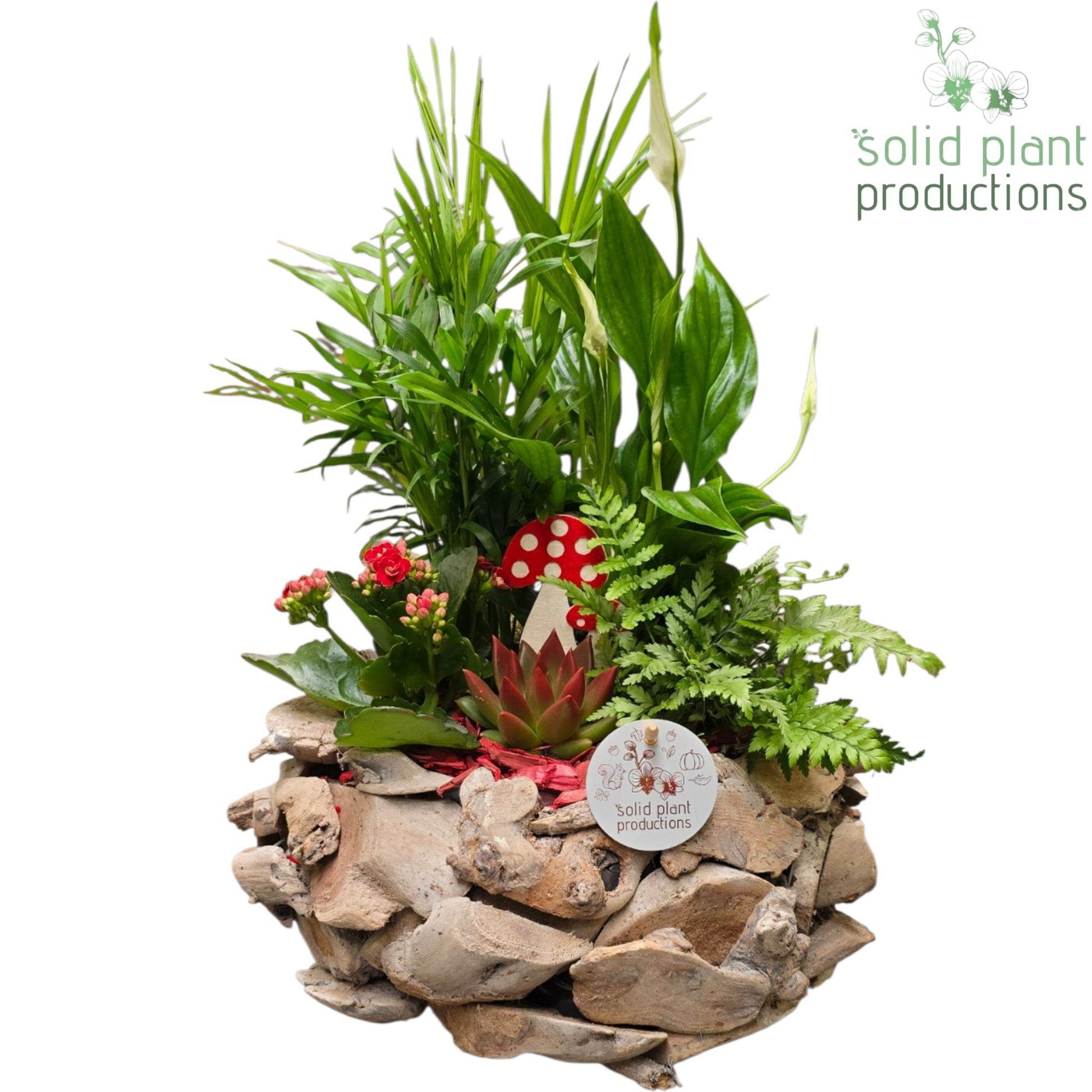 SCE013 Driftwood Round White Washed Red Autumn 45cm 31cm Pot