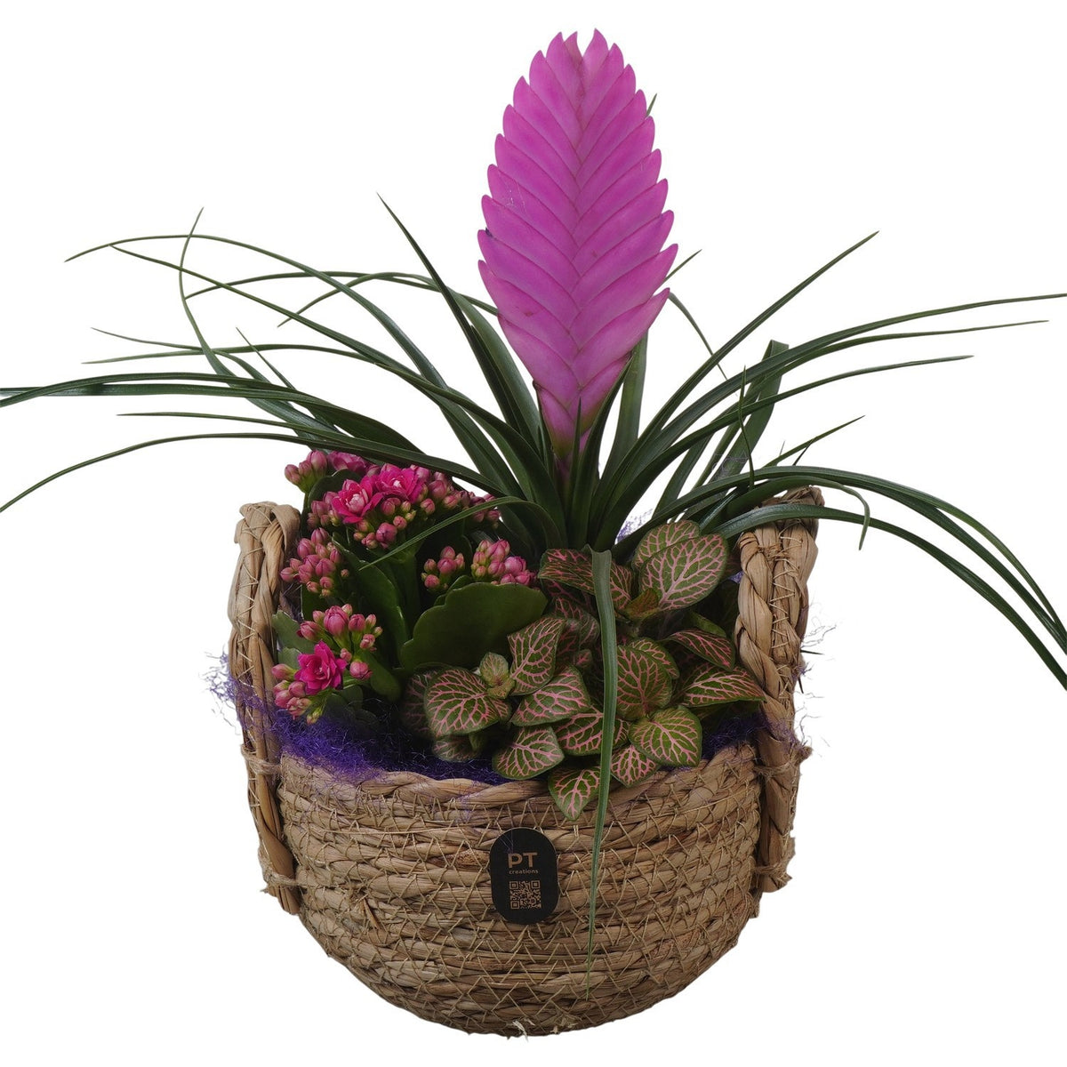 Indoor arrangement 30cm 15cm Pot