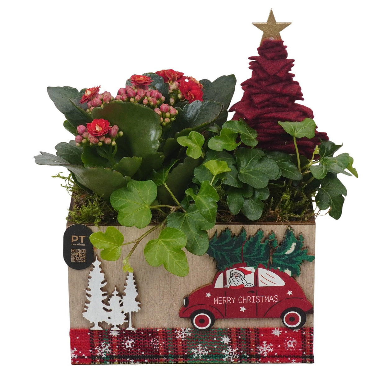 Christmas arrangement 22cm 15cm Pot