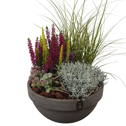 Outdoor arrangement 45cm 23cm Pot
