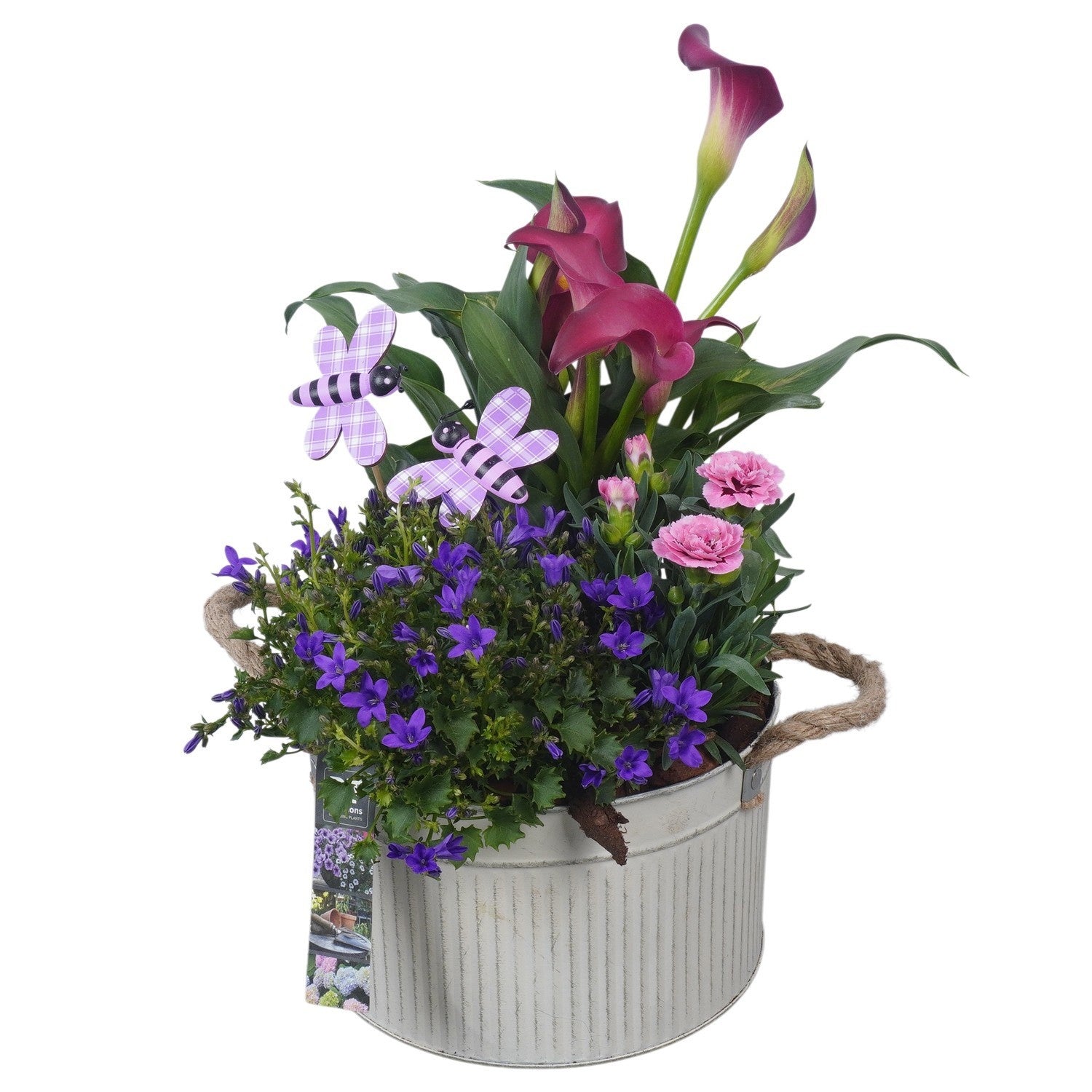 arr. PM196 38cm 21cm Pot