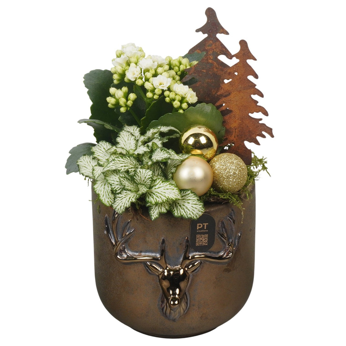 Christmas arrangement 25cm 14cm Pot