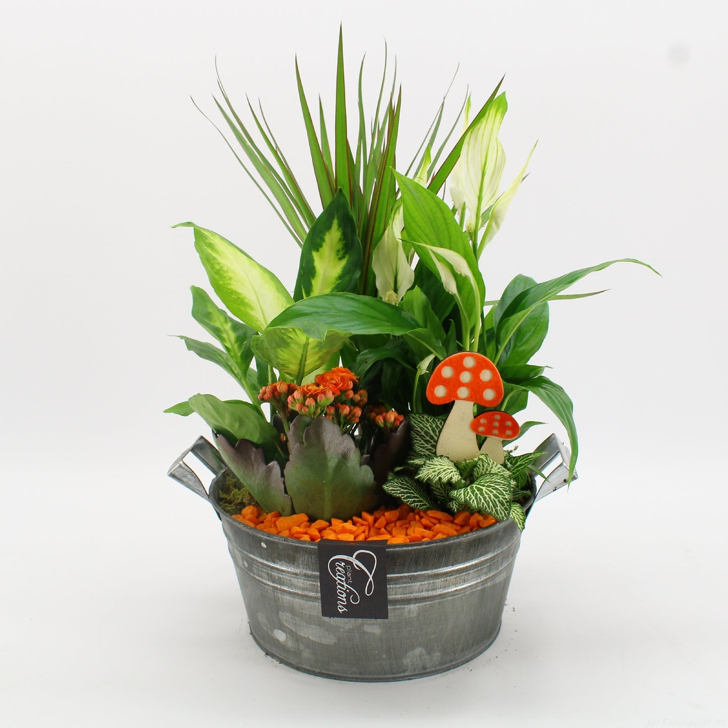 BHCR-2616 Autumn Fundamentals 50cm 23cm Pot