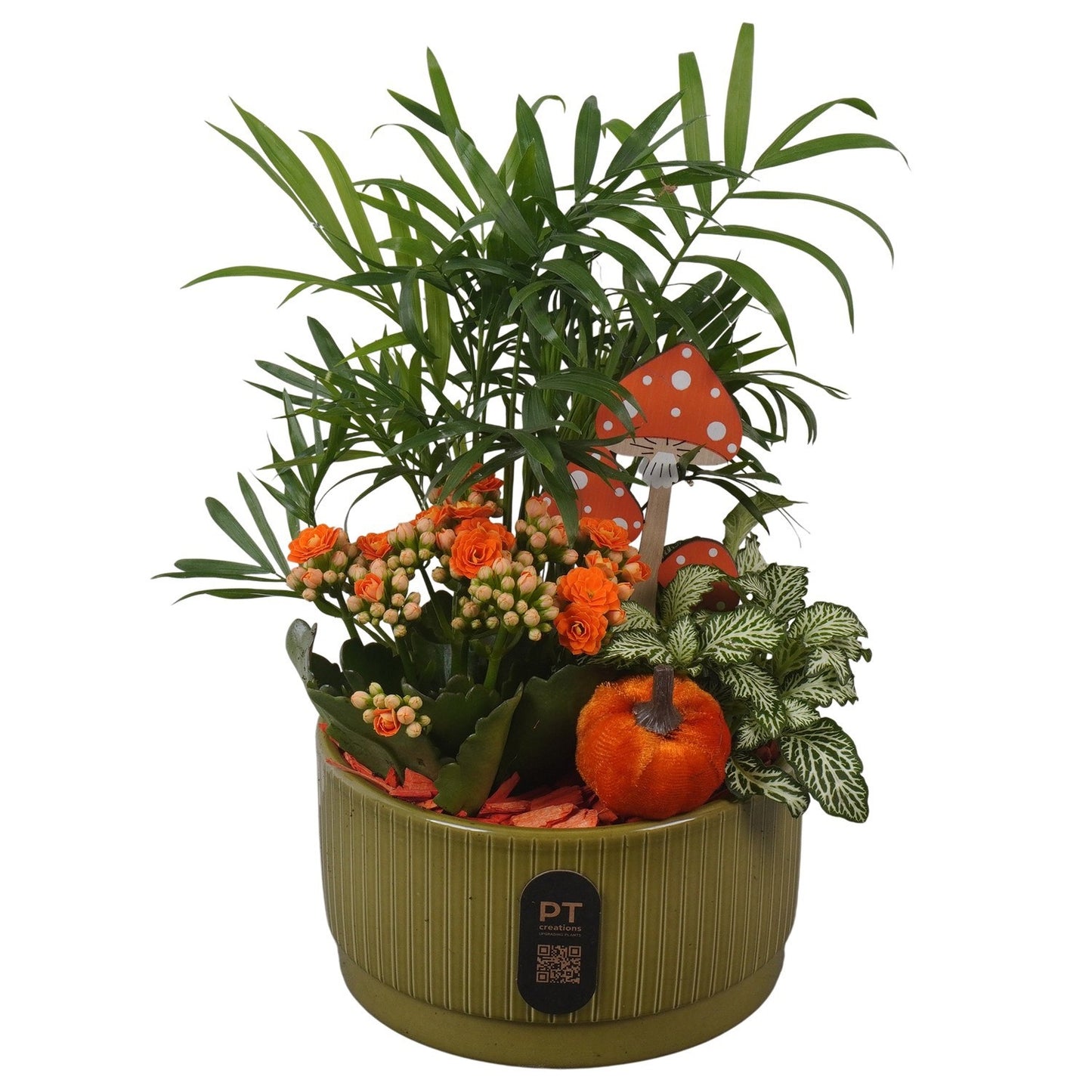 Indoor arrangement 30cm 16cm Pot