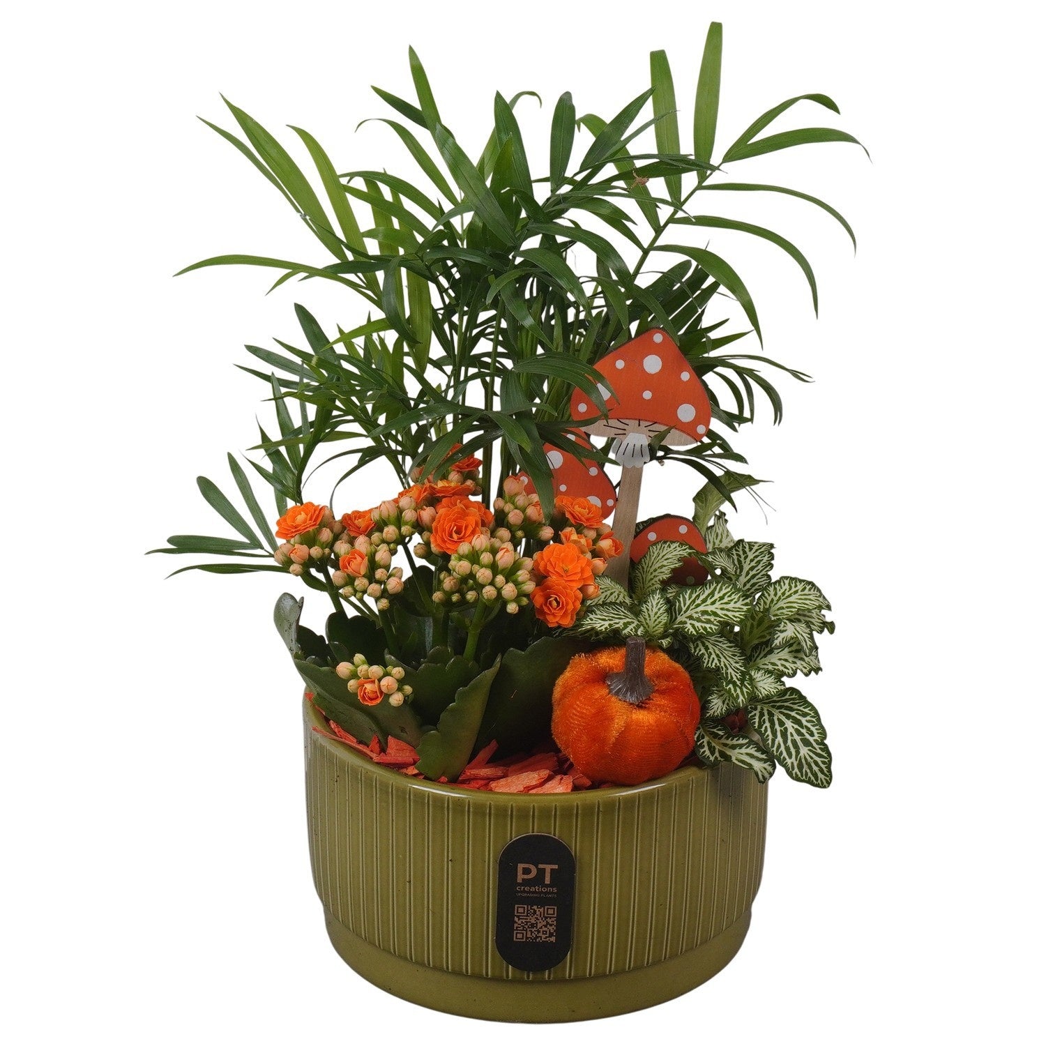 Indoor arrangement 30cm 16cm Pot