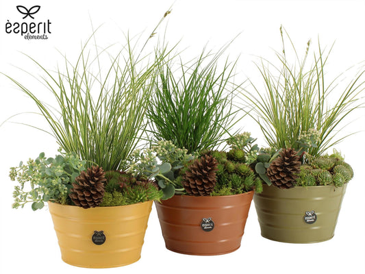 Outdoor arrangement 35cm 17cm Pot