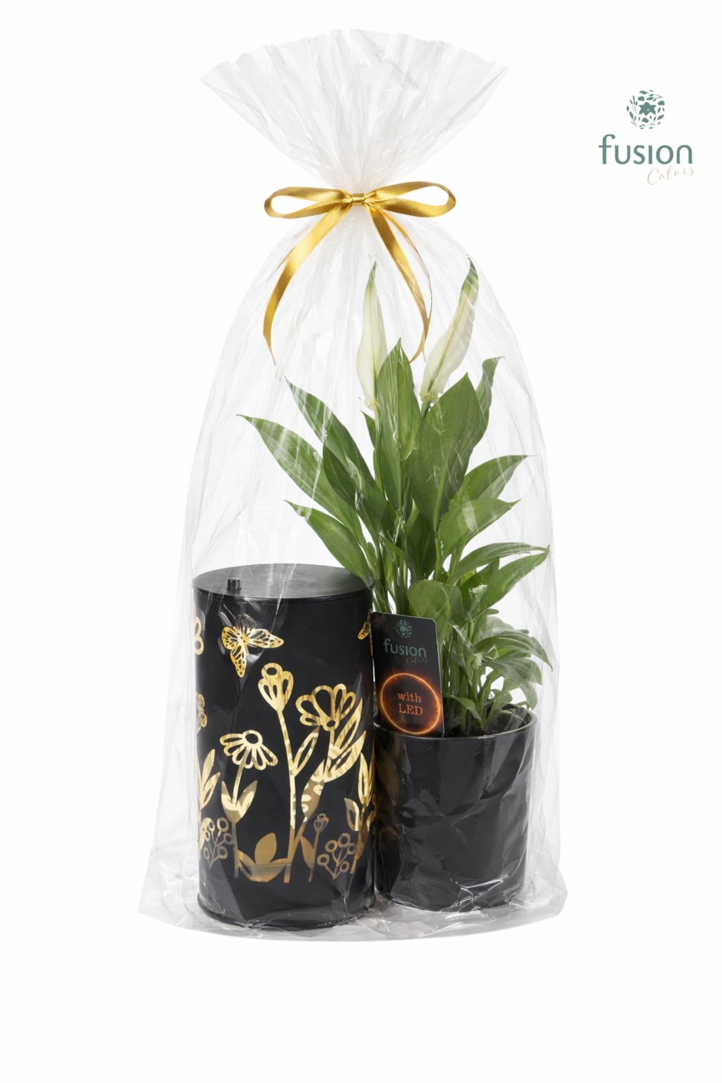 Fusioncolors BV Glas LED Duo met Spathiphyllum in Klaphoes Pack of 7