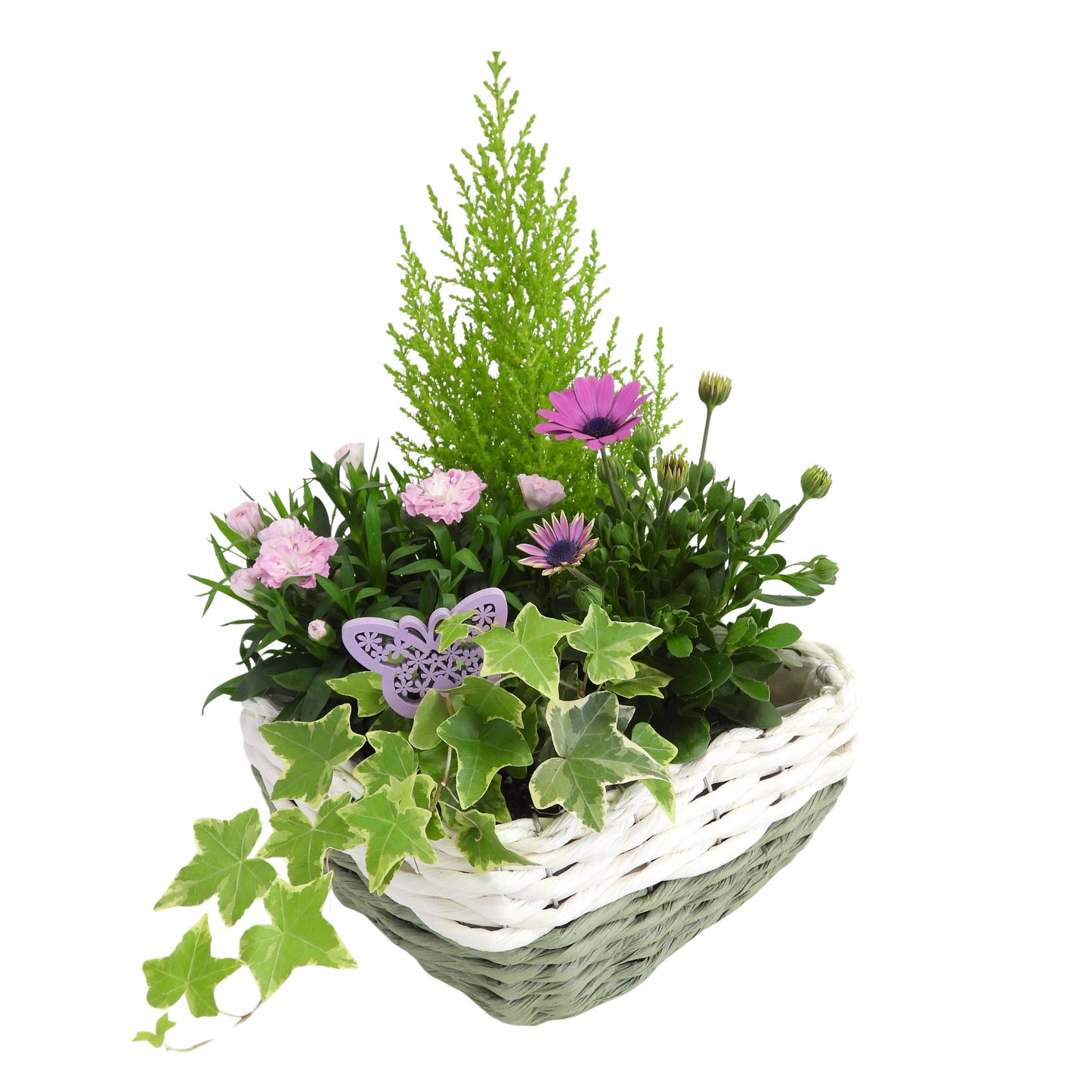 Outdoor arrangement 35cm 21cm Pot