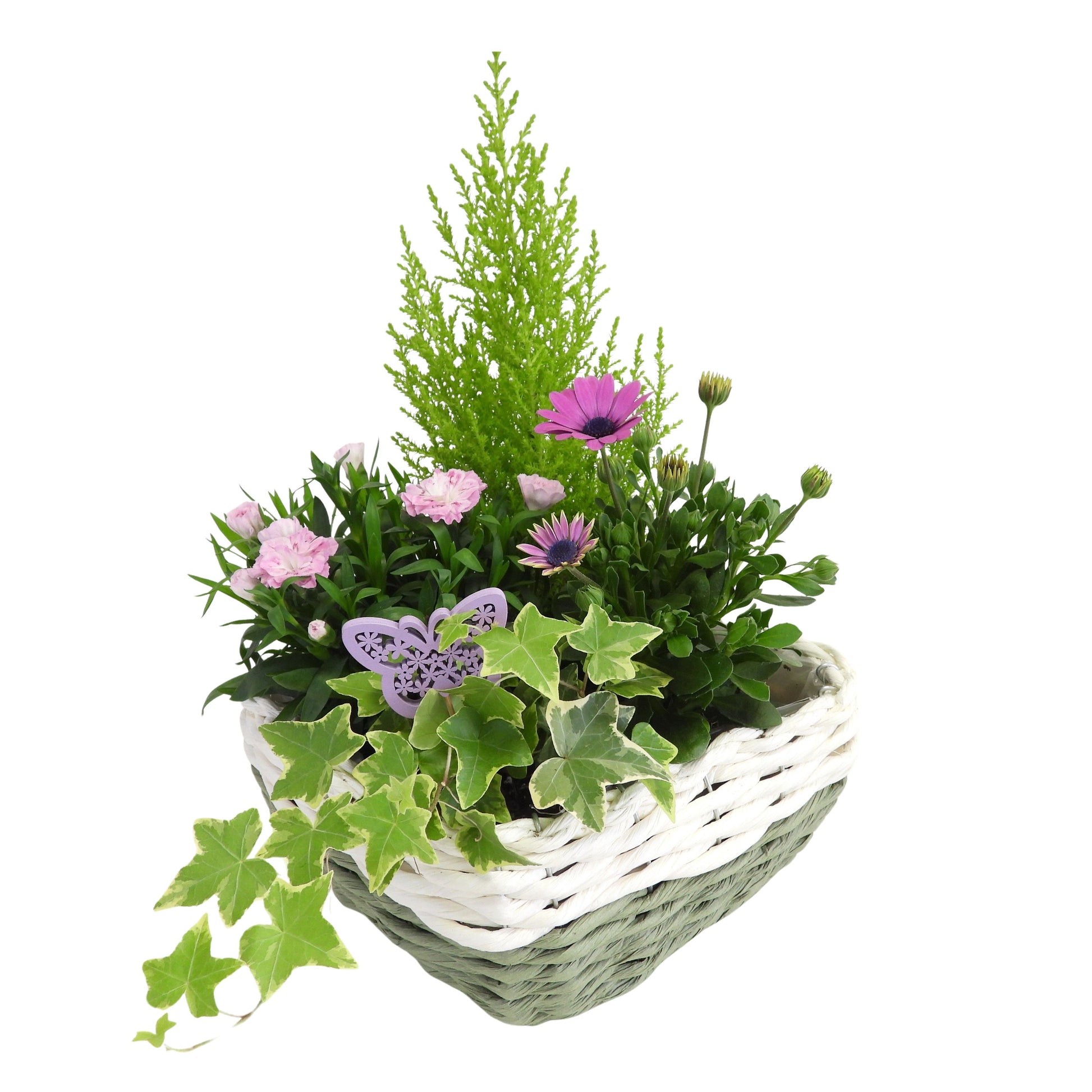 Outdoor arrangement 35cm 21cm Pot